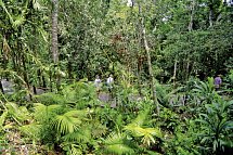 Sydney, Rock, Reef & Rail - Kuranda