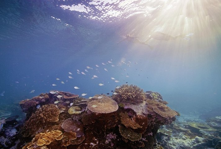 Australiens Glanzpunkte kompakt - Schnorcheln am Great Barrier Reef