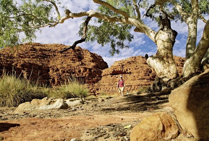 Australiens Glanzpunkte kompakt - Kings Canyon, Watarrka Nationalpark