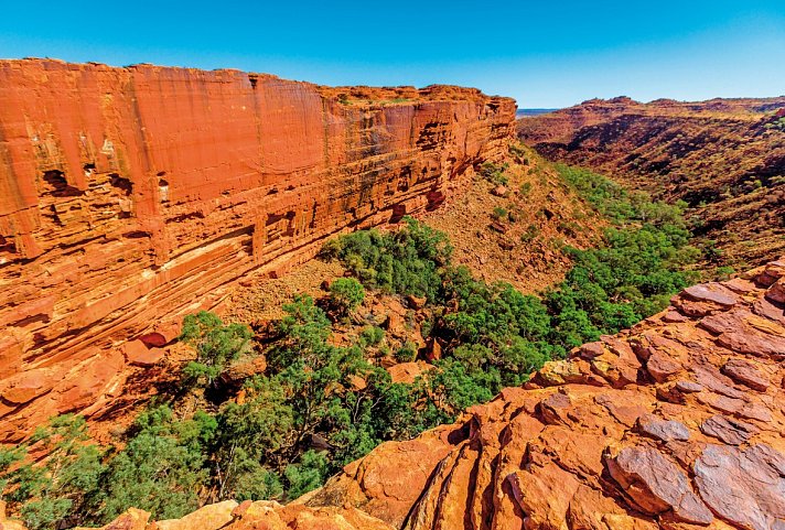 Känguru-Hüpfer - Kings Canyon