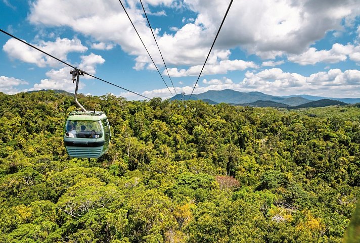 Känguru-Hüpfer - Kuranda