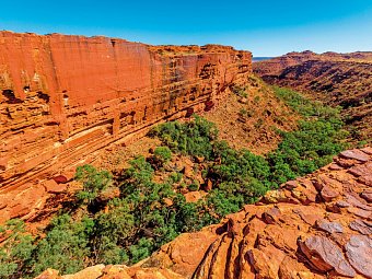Känguru-Hüpfer & Ostküste - Kings Canyon