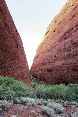 Australien zum Kennenlernen (ab Sydney/bis Melbourne) - Kata Tjuta