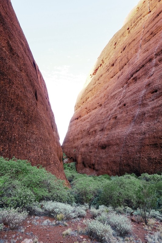 Australien zum Kennenlernen (ab Sydney/bis Melbourne) - Kata Tjuta