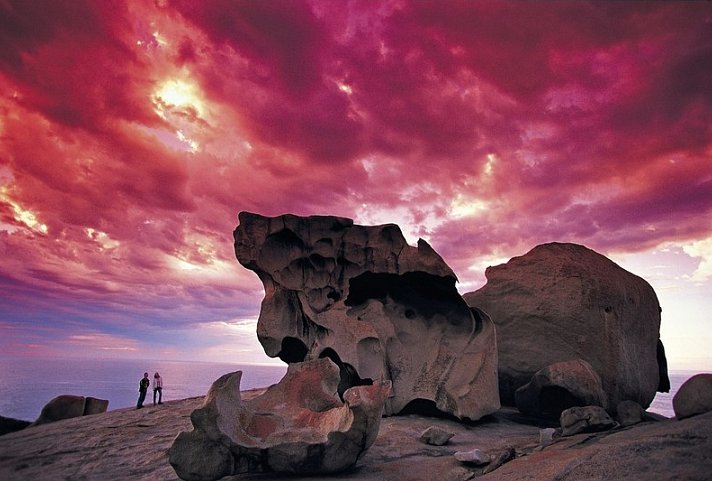 Faszination des Südens (Sydney-Adelaide) - Kangaroo Island