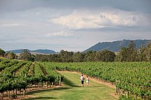 Coastal Explorer - Weinberge im Hunter Valley