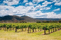Coastal Explorer - Hunter Valley