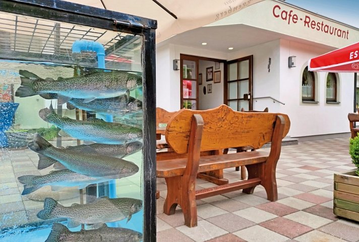 Hotel Wasserfall