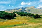 Montenegro in allen Facetten erleben