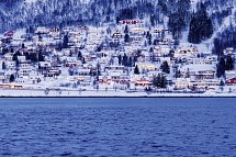 Arktische Erlebnisse - Tromsø