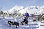 Polarlichtmetropole Tromsø