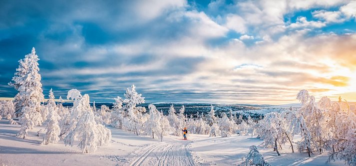 Arktische Kontraste - Von Tromsø nach Lappland