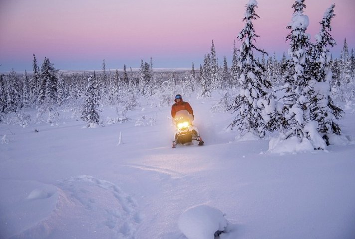 Arktische Kontraste - Von Tromsø nach Lappland