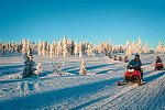 Arktische Kontraste - Von Tromsø nach Lappland