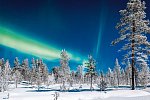Arktische Kontraste - Von Tromsø nach Lappland