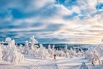 Arktische Kontraste - Von Tromsø nach Lappland