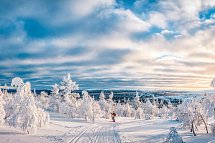 Arktische Kontraste - Von Tromsø nach Lappland