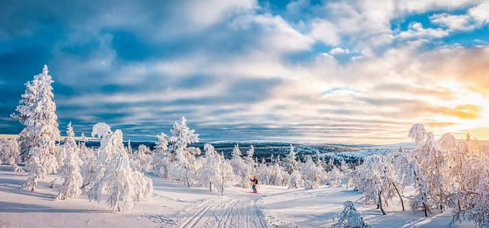 Arktische Kontraste - Von Tromsø nach Lappland