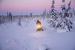 Arktische Kontraste - Von Tromsø nach Lappland