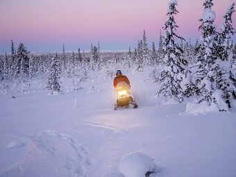 Arktische Kontraste - Von Tromsø nach Lappland