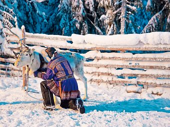 Arktische Kontraste - Von Tromsø nach Lappland - Sami mit Rentier