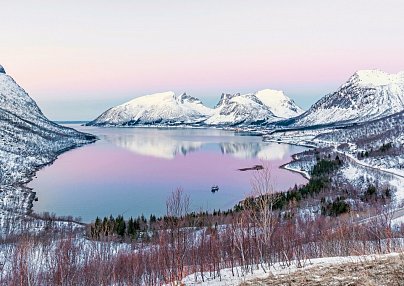 Wildlife, Polarlichter und Naturparadies Senja Tromsø