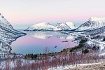 Wildlife, Polarlichter und Naturparadies Senja