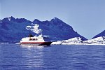 Wildlife, Polarlichter und Naturparadies Senja