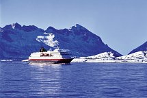 Wildlife, Polarlichter und Naturparadies Senja - Hurtigrutenschiff M/S Richard With