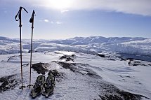 Wildlife, Polarlichter und Naturparadies Senja - Schneeschuhwanderung auf Insel Senja