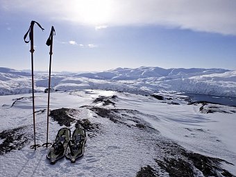 Wildlife, Polarlichter und Naturparadies Senja - Schneeschuhwanderung auf Insel Senja