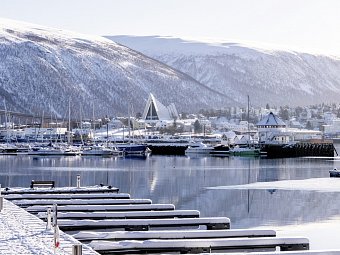 Wildlife, Polarlichter und Naturparadies Senja - Tromsø