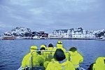 Wildlife, Polarlichter und Naturparadies Senja