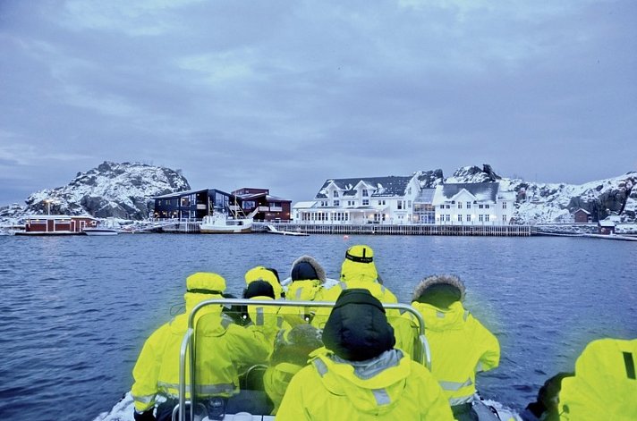 Wildlife, Polarlichter und Naturparadies Senja
