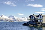 Wildlife, Polarlichter und Naturparadies Senja