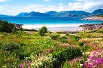 Naturparadiese im hohen Norden