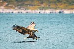 Naturparadiese im hohen Norden