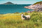 Naturparadiese im hohen Norden