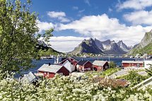 Lappland, Lofoten und Nordkap (ab Tromsø) - Reine, Lofoten