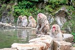 Zauberhaftes Japan (nur Landprogramm)