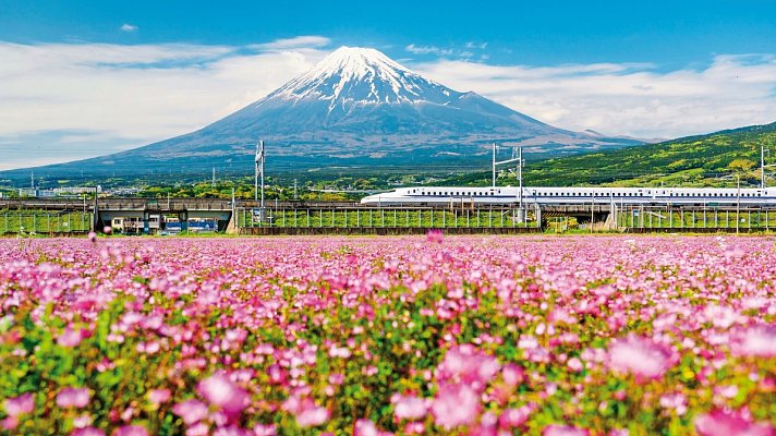 Japan für Individualisten (inkl. Flug)