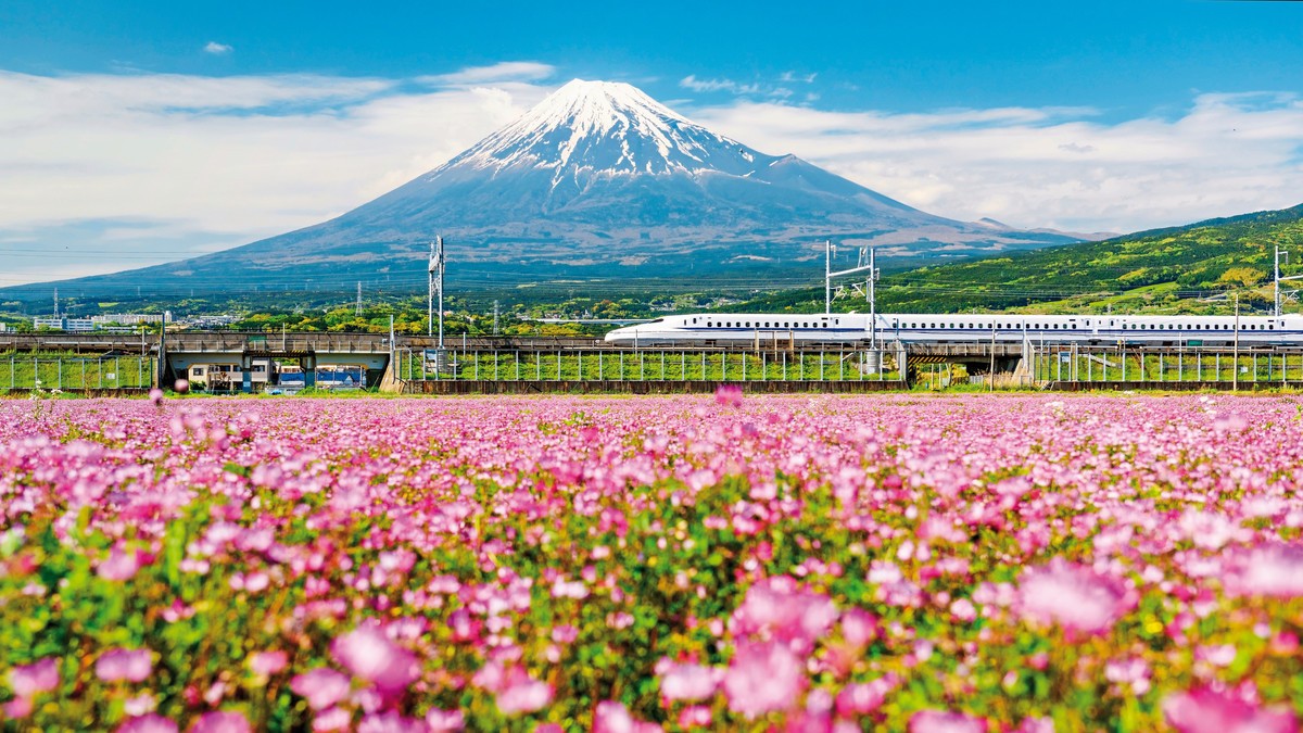 Japan für Individualisten (inkl. Flug)