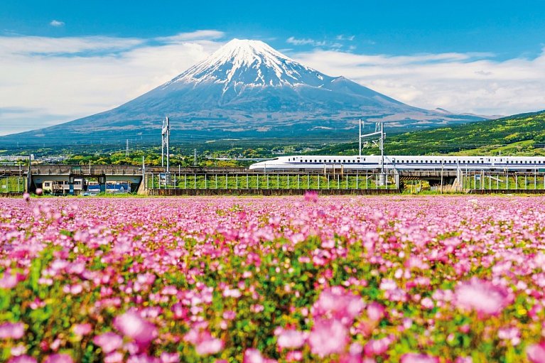Japan für Individualisten (inkl. Flug) - Shinkansen-Superexpress