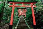 Japan für Individualisten (inkl. Flug)