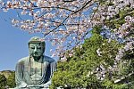 Japan für Individualisten (inkl. Flug)