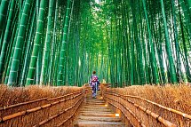 Japan für Individualisten (inkl. Flug) - Kyoto, Bambushain Arashiyama