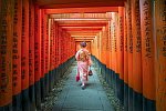 Japan für Individualisten (inkl. Flug)