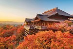 Japan für Individualisten (inkl. Flug)
