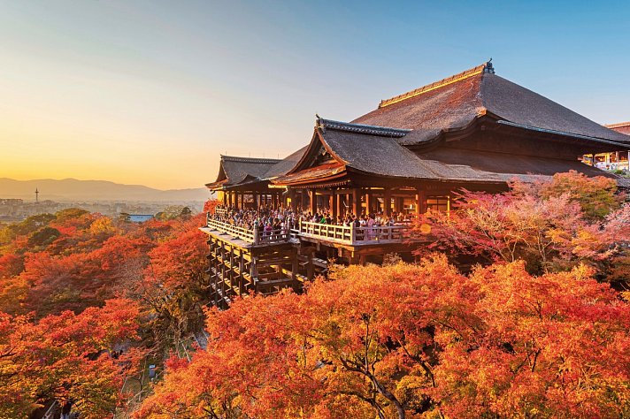 Japan für Individualisten (nur Landprogramm)