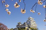 Zauberhaftes Japan (inkl. Flug)